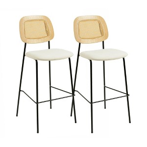 TOV Furniture Anais Rattan Counter Stool - Set of 2 in Natural - 1 of 4
