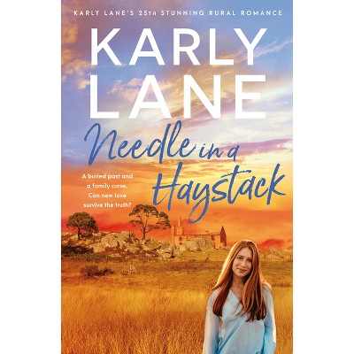 Needle in a Haystack - by  Karly Lane (Paperback)
