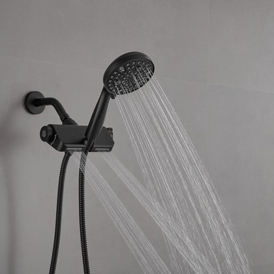 Matte Black Dual Shower Head with Handheld and Stainless Steel Hose
