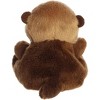 Aurora® Palm Pals™ Selena Sea Otter™ 5 Inch Stuffed Animal Toy #1-080 Aquatic - 3 of 3