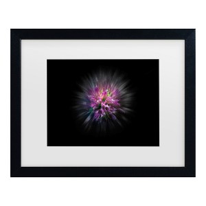 Trademark Fine Art - Brian Carson Backyard Flowers 53 Matted Framed Art - 1 of 4