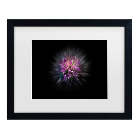 Trademark Fine Art - Brian Carson Backyard Flowers 53 Matted Framed Art - image 1 of 4