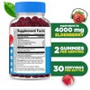 Lifeable - Sugar Free - Sambucus Elderberry + Vitamin C and Zinc - Kids - 60 Gummies - 2 of 4