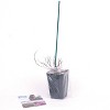Spiraea Poprocks Petite 4" Potted Rocketliners - Van Zyverden - 4 of 4