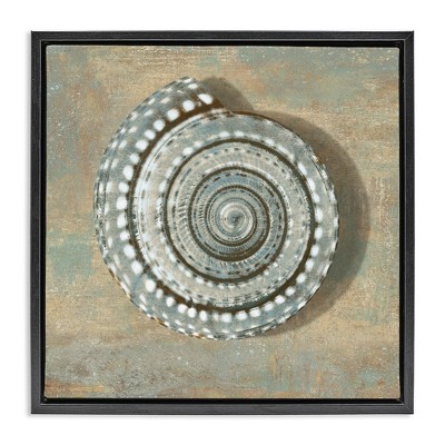 Stupell Industries Spiral Shell Beach Objects Design, 18" x 18"