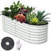 Acekool Oval Garden Planter - 2 of 4