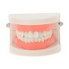 Unique Bargains Fake Teeth Grills Fashion Zircon Single Strip for Hip Hop Gift 1 Set - 2 of 4