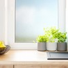 Set of 2 (27"x158") Fablon Ice Flowers Window Film Set: Vinyl Adhesive Privacy & Light Filtering Botanical Design - 3 of 4