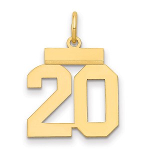 Black Bow Jewelry 14k Yellow Gold, Athletic Collection, Small Polished Number 20 Pendant - 1 of 3