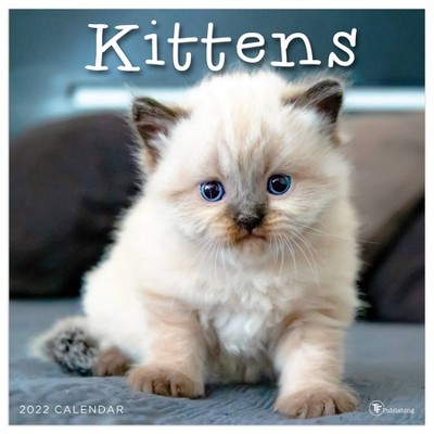 2022 Wall Calendar Kittens - The Time Factory