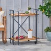 Eden Firwood and Iron Bar Cart - Antique Finish - Christopher Knight Home: Weather-Resistant, 2 Shelves - 3 of 4