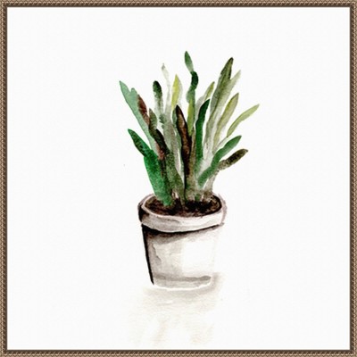 Amanti Art 30"x30" Potted Botanicals III by Marcy Chapman Framed Canvas Wall Art Print