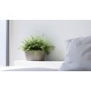 Ecopots Sofia Durable Modern Oval Indoor/Outdoor Recycled-Based Composite Flower Pot Planter w/ Water Reservoir - 3 of 4