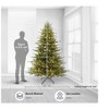 Holiday Living Acadia 7.5-ft Spruce Pre-lit Artificial Christmas Tree with LED Lights - 3 of 3