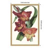 Amanti Art Paxton Tropicals II by Jennifer Paxton Parker Framed Canvas Wall Art - 4 of 4