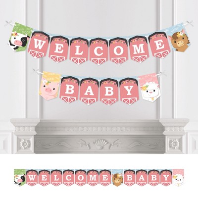 Big Dot of Happiness Girl Farm Animals - Pink Barnyard Birthday Party Bunting Banner - Party Decorations - Happy Birthday