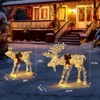 Karl Home 2pcs 4 ft. Light Garden Moose Christmas Decoration - 3 of 4