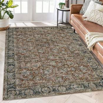 Washable Area Rugs for Living Room Vintage Distressed Printed Rug Carpet Floral Rug