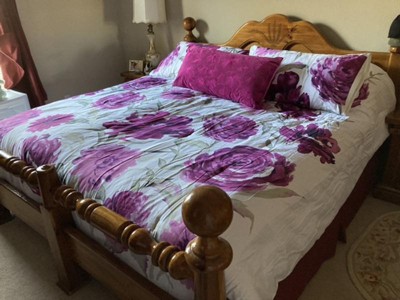 Christian Siriano Twin Xl 2pc Remy Floral Comforter Set Magenta/white :  Target