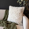 20" x 20" Alastair Hand Woven Boucle Filled Decorative Indoor/Outdoor Accent Throw Pillow - 2 of 4