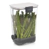 Progressive Prepworks BPA-Free Plastic Herb ProKeeper for Herbs, White - 2 of 3