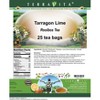 TerraVita Tarragon Lime Rooibos Tea (25 tea bags, ZIN: 541325, 3-Pack) - 2 of 4