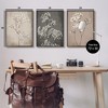 Stupell Industries Botanical Baby's Breath Herbs 3pc Framed Giclee Art Set, Black, 24" x 30" - 3 of 4