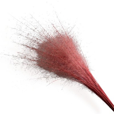 Alilang Decorative Dried Wispy Grass Stems for Home Decoration and Floral Arrangements, 17 Inches