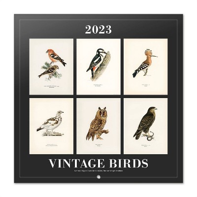 2023 Wall Calendar Bilingual Vintage Birds - TF Publishing