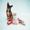 Pavilion Gift Company - Spoiled Dog - 6.5" Ceramic Savings Bank - Decorative Banks - 3 of 4