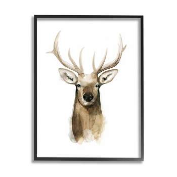 Stupell Industries Deer Portrait Watercolor Framed Giclee Art