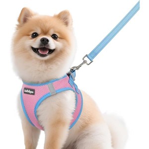 rabbitgoo Dog Harness Small Sized and  Puppy Vest for Small Dogs, Pink & Light Blue, M - 1 of 1