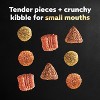 Cesar Rotisserie Chicken Flavor Small Breed Dry Dog Food - 4 of 4