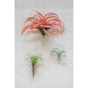 Small Artificial Air Plant 4.5"H Plastic & Wire Botanical Accent – Green Faux Succulent Decor (Set of 6) By Kalalou - 1 of 3