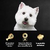Cesar Classic Loaf in Sauce Beef, Chicken and Steak Flavor Variety Pack Small Breed Wet Dog Food - 3.5oz/36ct - 4 of 4