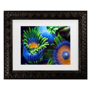 Trademark Fine Art - Santiago Pascual Buye The Colors Of The Reef Ii Matted Framed Art - 1 of 4
