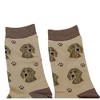 E & S Imports 15.25 In Weimaraner Sock Daddy Dog Pet Paw Print Crew Socks - 3 of 3
