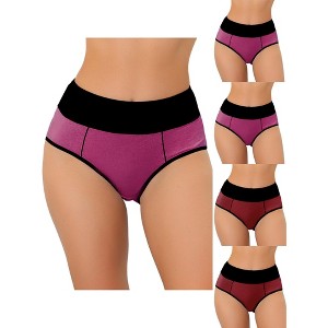 Allegra K Women's Plus Size High Waist Tummy Control Color-Block 5 Packs Available Briefs - 1 of 4
