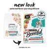 Purina Beneful IncrediBites Small Bite Real Beef Flavor Dry Dog Food for Small Dogs - 3 of 4