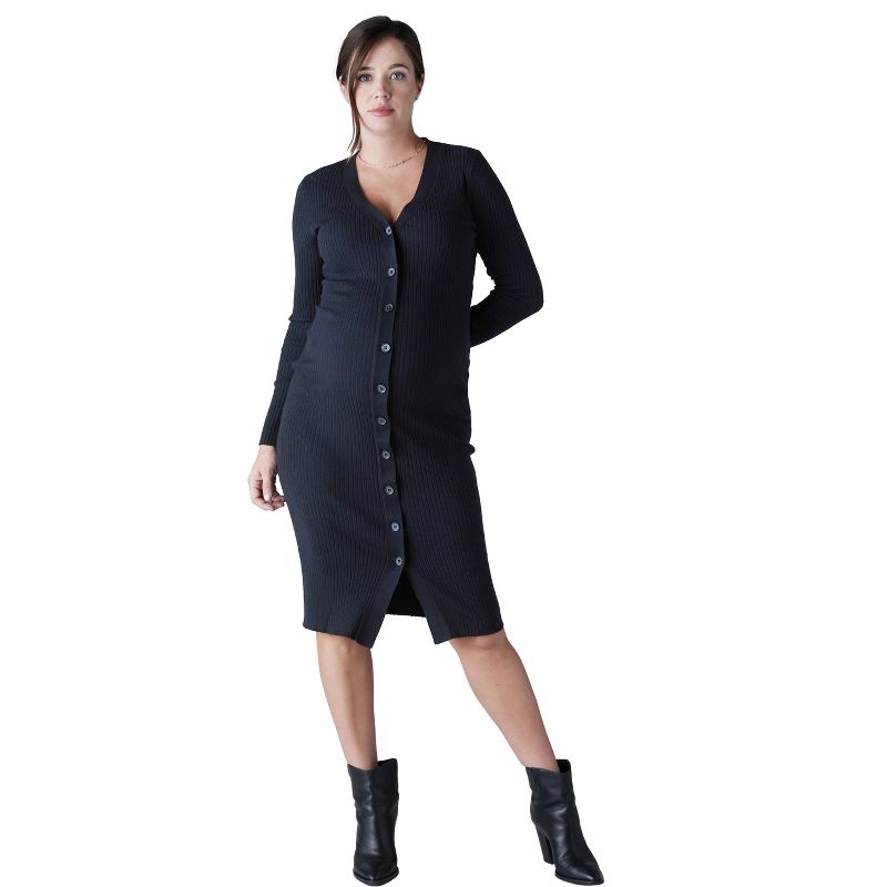 Ingrid & Isabel Maternity Ribbed Button Front Sweater Dress, 1 of 6