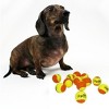 Midlee 2" Yellow/Orange Small Dog Tennis Balls (12-Pack) - 3 of 4