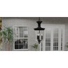 Havana 3-Light Earth Black Outdoor Hanging Lantern - 3 of 4