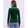 Allegra K Women's Solid Turtleneck Velvet Long Sleeve Work Basic Velour Blouse - 4 of 4