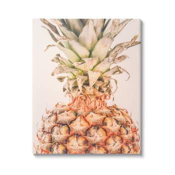 Stupell Industries Tropical Pineapple Photography Canvas Wall Art