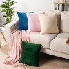 PAVILIA Set of 2 Throw Pillow Covers, Decorative Velvet Square Cushion Cases for Bed Sofa Couch Bedroom Living Room - 3 of 4