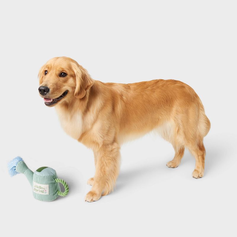 7&#34; Spring Watering Can Dog Plush Toy - Boots &#38; Barkley&#8482;, 3 of 6