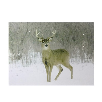 Northlight Fiber Optic Lighted Majestic Buck Canvas Wall Art 12" x 15.75"