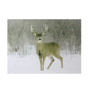 Northlight Fiber Optic Lighted Majestic Buck Canvas Wall Art 12" x 15.75" - 1 of 3