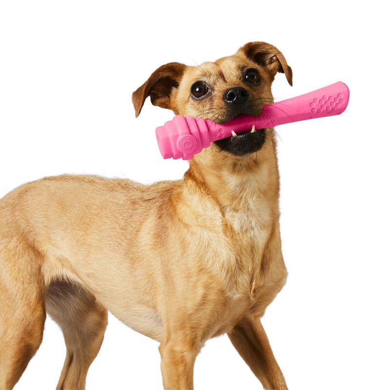 Project Hive Pet Company Wild Berry Fetch Stick Interactive Dog Toy - Pink, 4 of 8