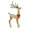 Champagne Woven Vine Set of 3 Reindeer with Warm White LED Lights for Holiday Décor 63" 52" 37" - 4 of 4
